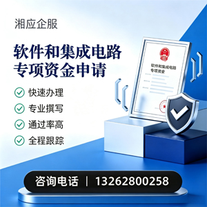 柳州软件和集成电路专项资金申报服务