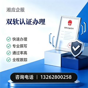 柳州双软认证申报服务