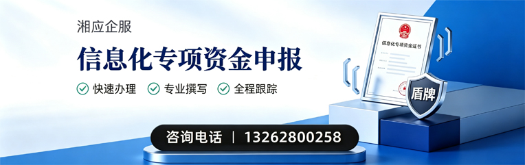 柳州信息化专项资金申报服务