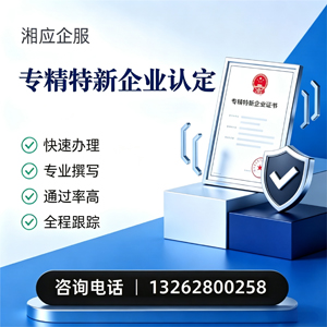柳州专精特新企业申报服务