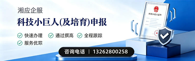 柳州科技小巨人及培育企业申报服务