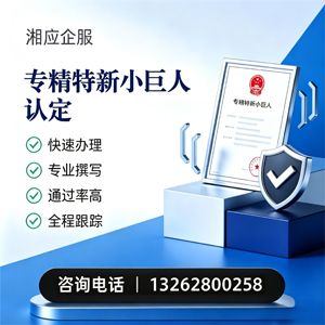 柳州专精特新小巨人申报服务