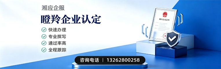 柳州瞪羚企业认定申报服务