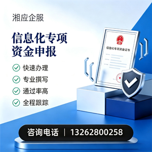 柳州信息化专项资金申报服务