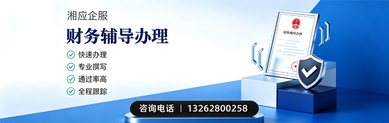 柳州财务辅导申请服务