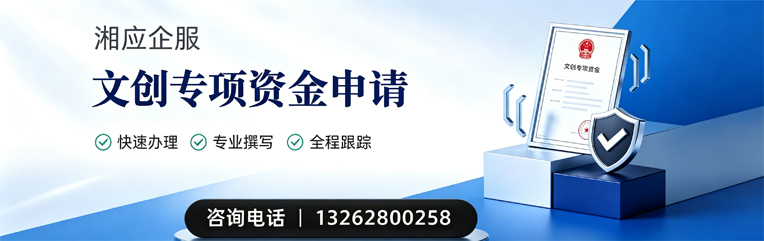 柳州文创专项资金申报服务