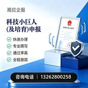 柳州科技小巨人及培育企业申报服务