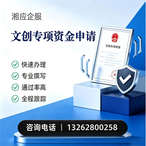 柳州文创专项资金申报服务