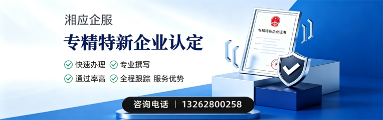柳州专精特新企业申报服务