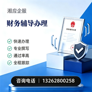 柳州财务辅导申请服务