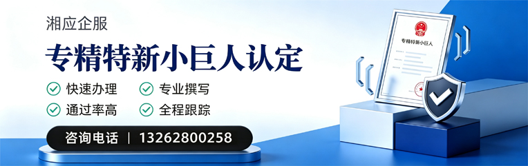 柳州专精特新小巨人申报服务